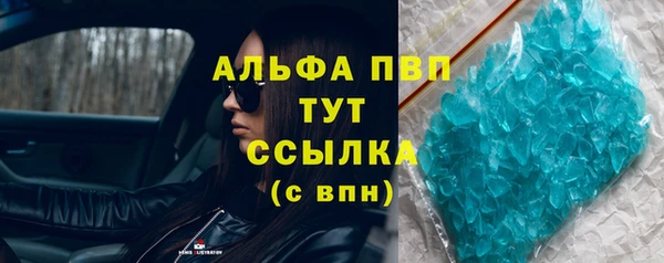 гидра Кодинск
