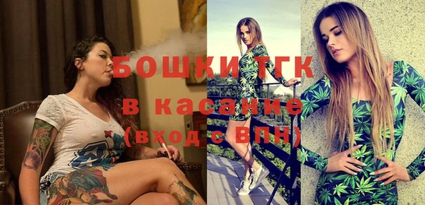 гидра Кодинск