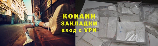 гидра Кодинск