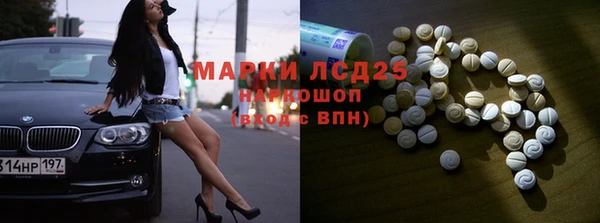 шишки Костерёво