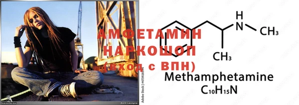 гидра Кодинск