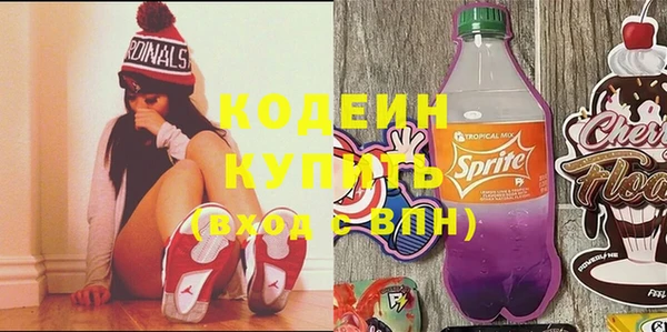 гидра Кодинск