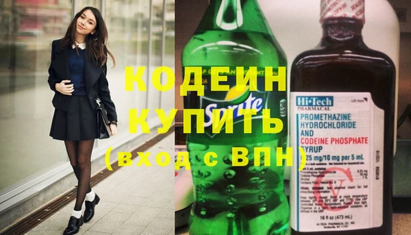 гидра Кодинск