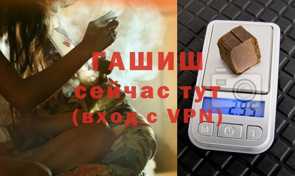 гидра Кодинск