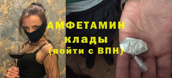 гидра Кодинск