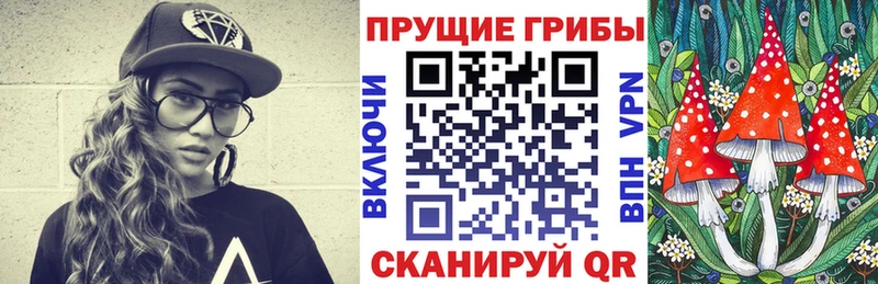Псилоцибиновые грибы MAGIC MUSHROOMS  Купить закладки  Задонск 